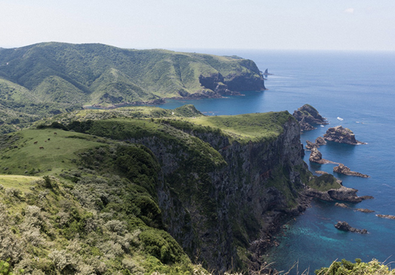 隨著海外資本流入，日本意識到無人島之戰略價值！